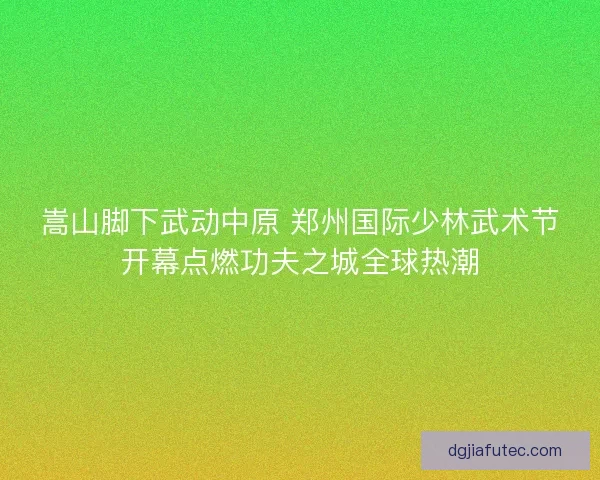 嵩山脚下武动中原 郑州国际少林武术节开幕点燃功夫之城全球热潮